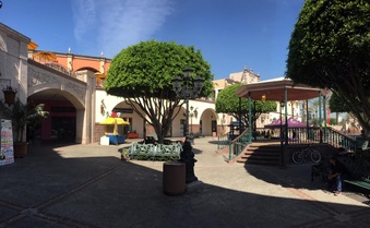 Enlarge photo 42