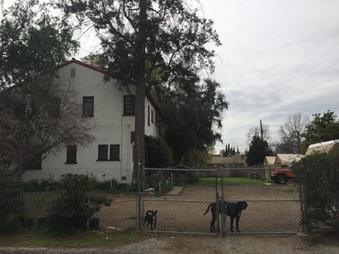 Enlarge photo 13