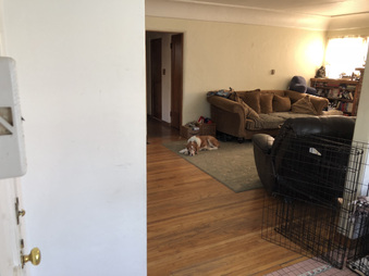 Enlarge photo 18