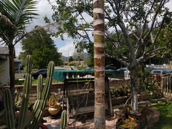 Enlarge photo 14