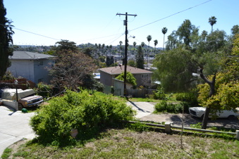 Enlarge photo 54