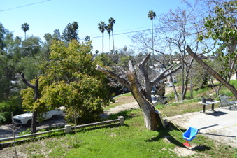 Enlarge photo 55