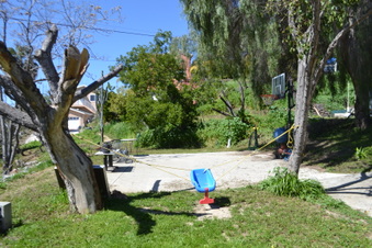 Enlarge photo 65