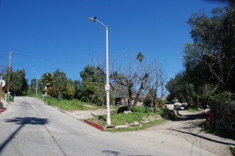 Enlarge photo 8
