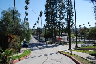 Enlarge photo 53
