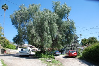 Enlarge photo 12