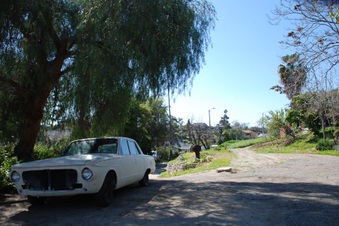 Enlarge photo 15