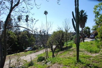 Enlarge photo 41