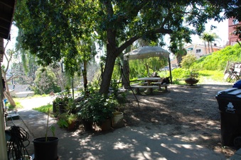 Enlarge photo 42