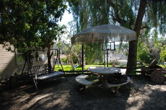 Enlarge photo 43