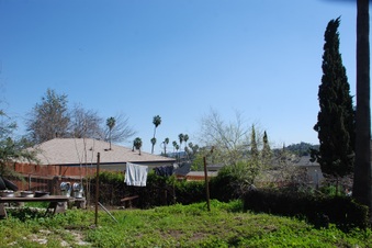 Enlarge photo 47