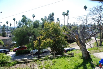 Enlarge photo 24