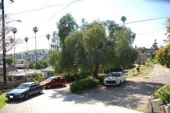 Enlarge photo 13