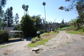 Enlarge photo 16