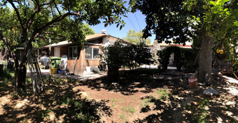 Enlarge photo 45