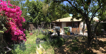 Enlarge photo 48