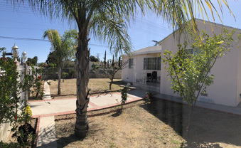 Enlarge photo 13