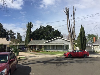Cruz Home