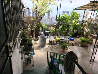Enlarge photo 34