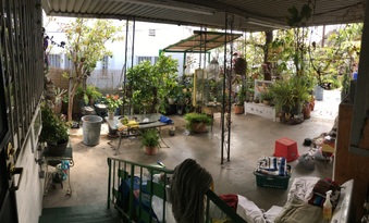 Enlarge photo 35