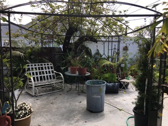 Enlarge photo 38