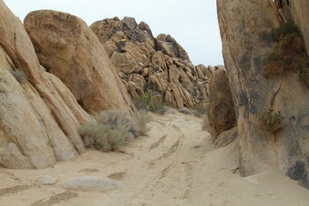 Enlarge photo 28