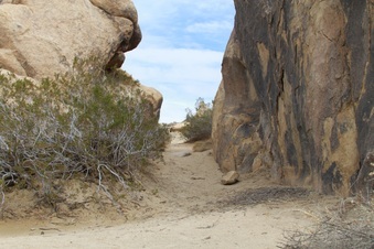Enlarge photo 29