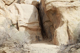Enlarge photo 30