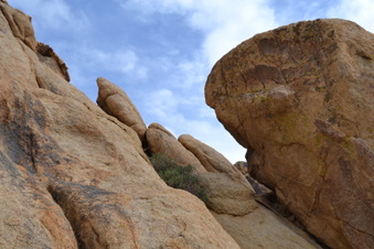 Enlarge photo 7