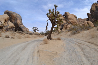 Enlarge photo 10