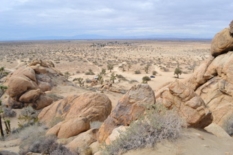 Enlarge photo 14