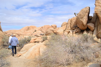 Enlarge photo 16