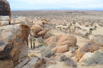 Enlarge photo 20