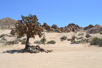 Enlarge photo 31