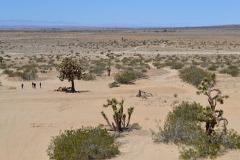 Enlarge photo 32