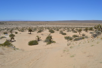 Enlarge photo 33