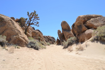 Enlarge photo 35