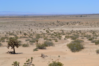 Enlarge photo 36