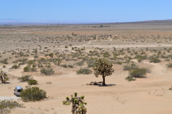 Enlarge photo 40