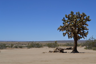 Enlarge photo 39