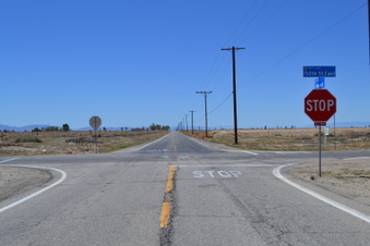 Enlarge photo 45