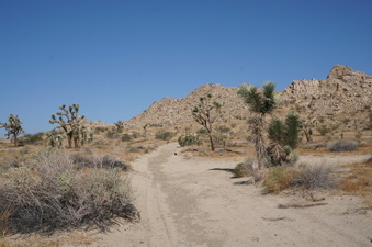 Enlarge photo 3