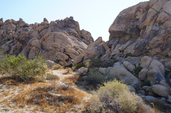 Enlarge photo 4