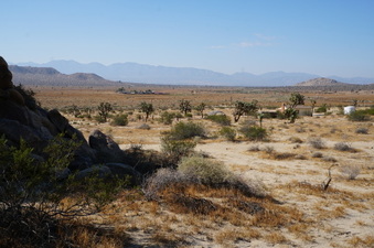 Enlarge photo 6