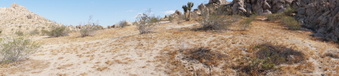 Enlarge photo 10