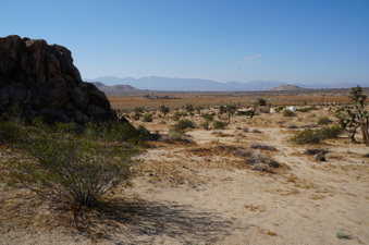 Enlarge photo 16