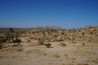 Enlarge photo 17