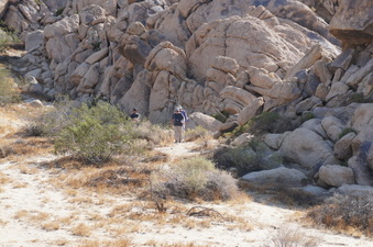 Enlarge photo 20