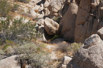 Enlarge photo 35