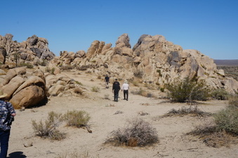 Enlarge photo 37
